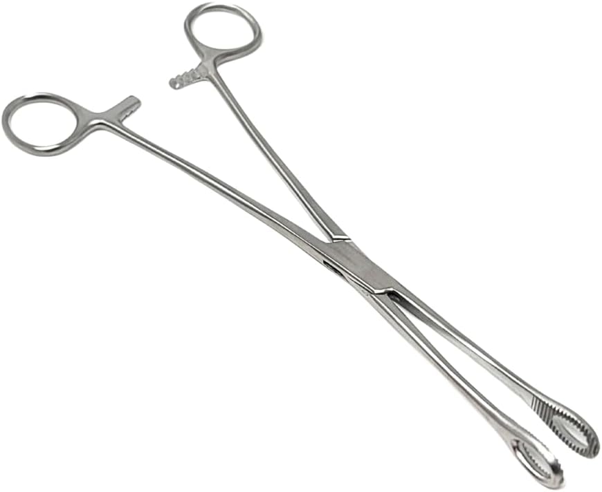 Sponge Holding Forceps 9.5