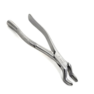 Premium Quality Dental Extraction Extracting Forceps #53R Satin, Stainless Steel