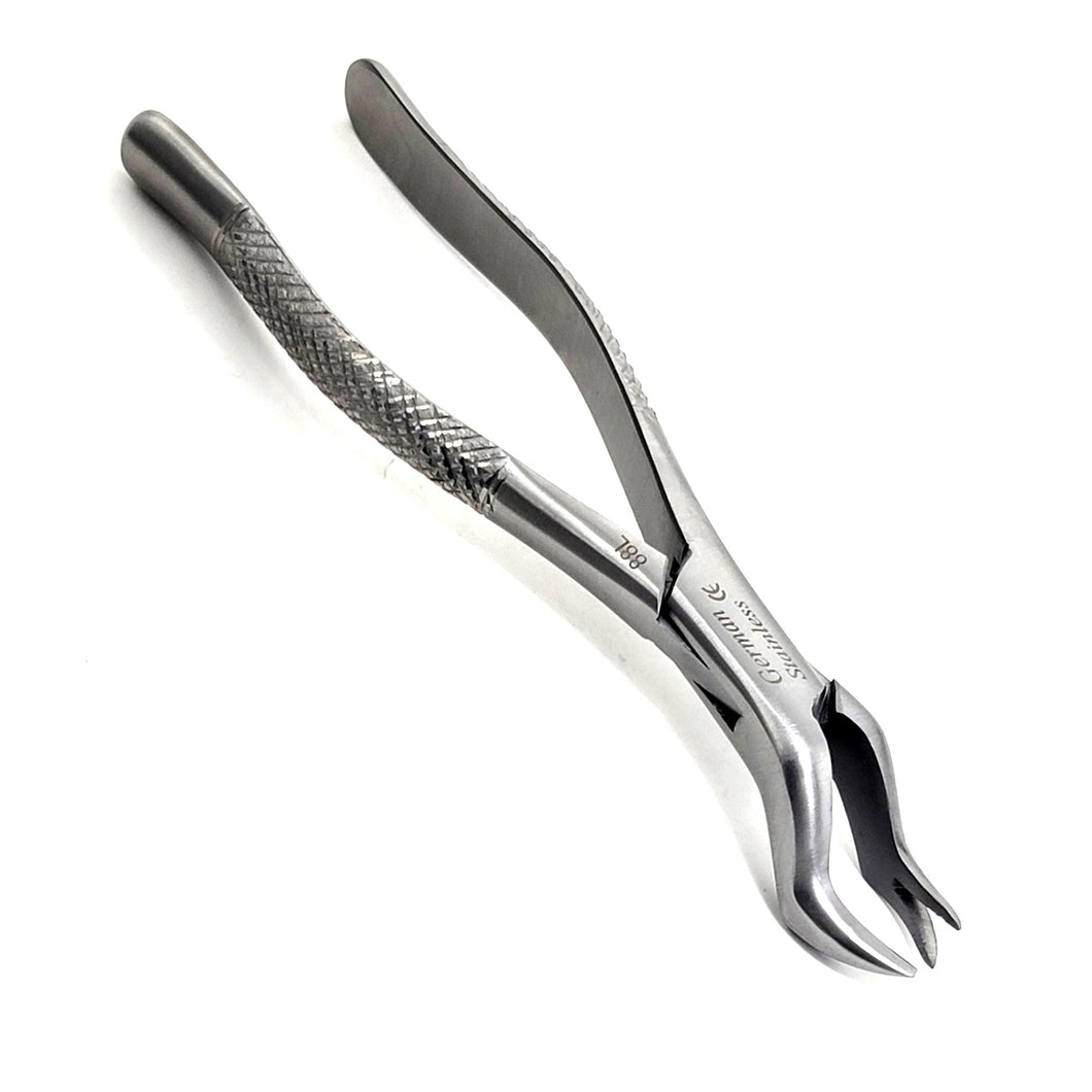 Premium Quality Dental Extraction Extracting Forceps #88L Satin, Stainless Steel