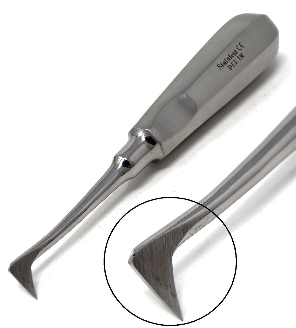 Apical Root Dental Root Tip Elevator DEL-1R, Stainless Steel