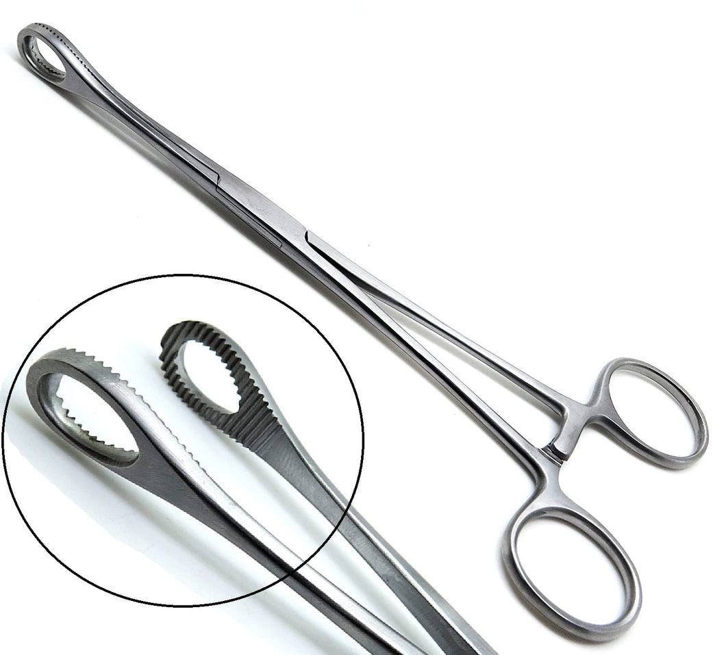 Sponge Holding Forceps 7