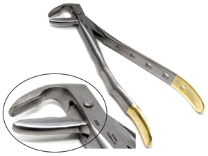 Premium Quality Dental Extracting Extraction Forceps #859, Gold Handle, Stainless Steel