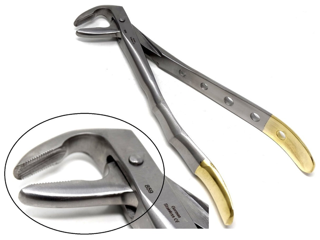 Premium Quality Dental Extracting Extraction Forceps #859, Gold Handle, Stainless Steel